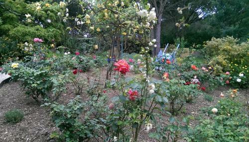 Bed & Breakfast Les Glycines