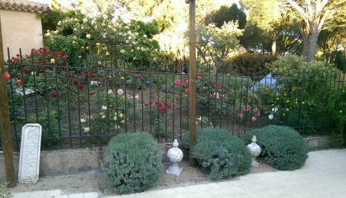 Bed & Breakfast Les Glycines