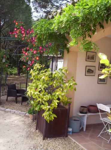 Bed & Breakfast Les Glycines