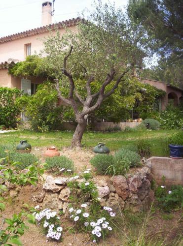 Bed & Breakfast Les Glycines
