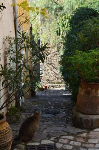 Bed & Breakfast Les Glycines