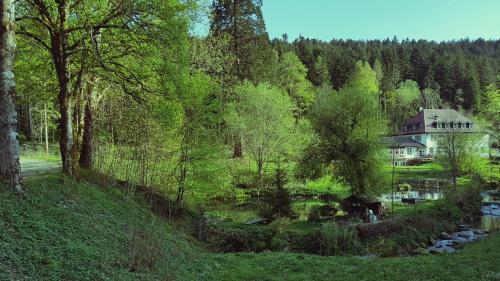 Gut Lauterbad Hotel