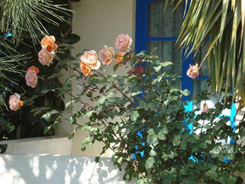 Apartamento Creta Sun Hotel Studios