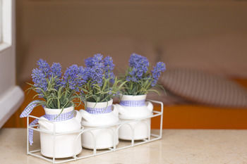 La Giuliva B&B