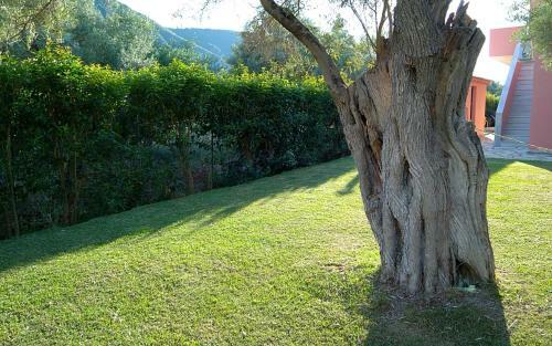 Apartamento Ionian Breeze Studios