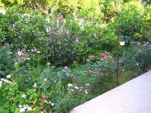 Hostal Pension Holidays