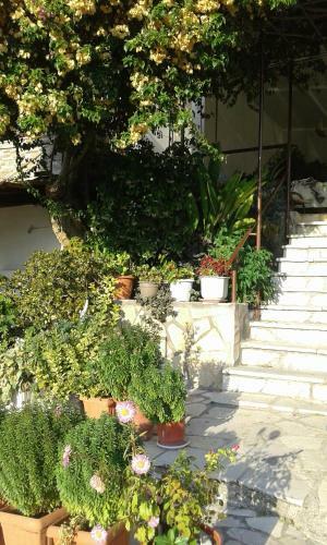 Hostal Pension Holidays