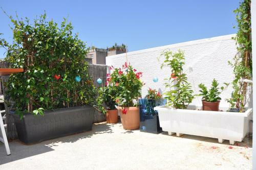 Apartamento Studio Theklas