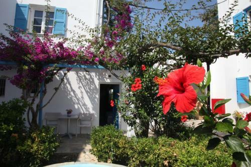 Hotel Blue Sea