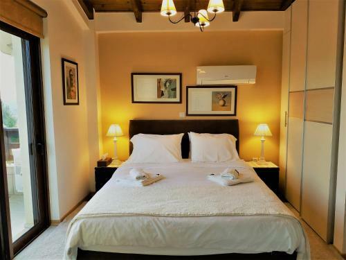 Mountain Chalet Livadi