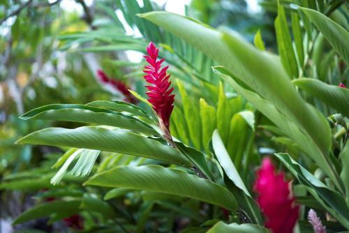 Hotel Hyatt Regency Guam