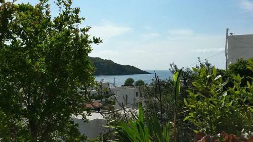 Apartamento Yvonni Studios