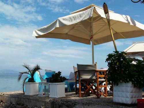 Hotel Plaz