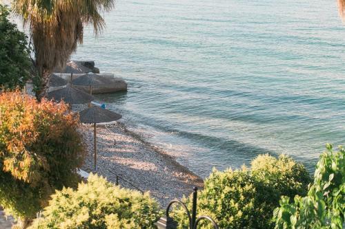 Hotel Plaz