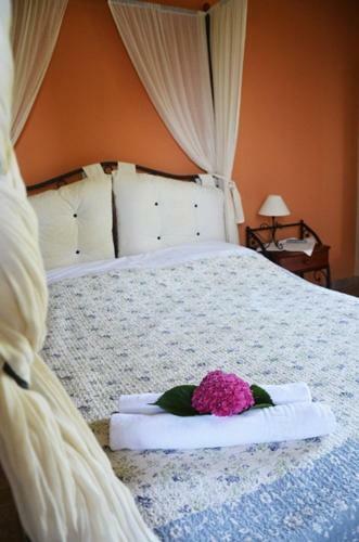Hostal Guesthouse Kalosorisma