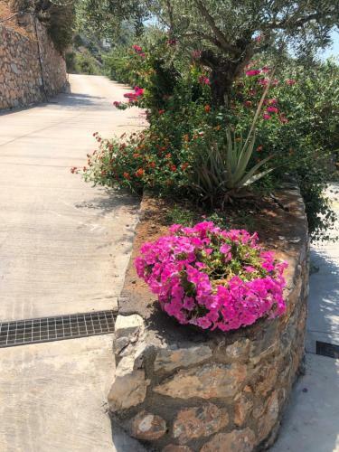 Apartamento Petra Thea