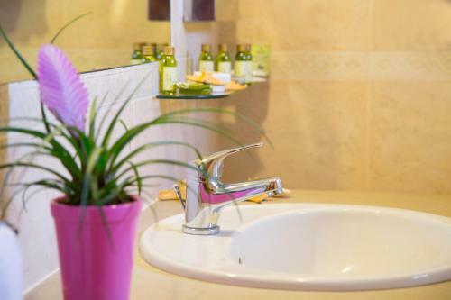 Garden Hotel Ripa