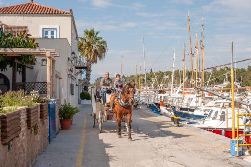 Hostal Mimoza