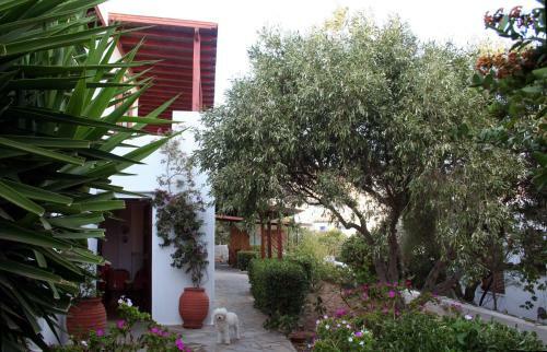 Apartamento Anemoesa
