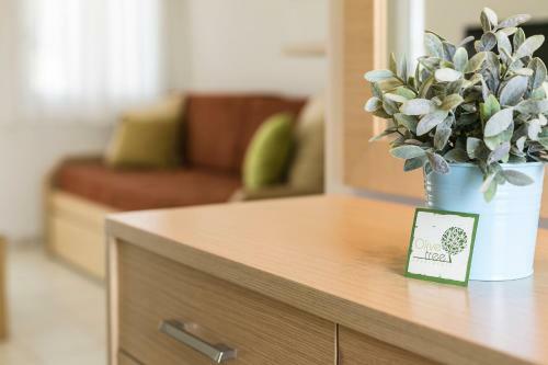 Olive Tree Apartments