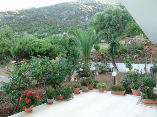 Aparthotel Filoxenia Hotel & Apartments