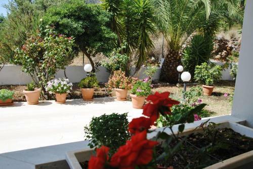 Aparthotel Filoxenia Hotel & Apartments