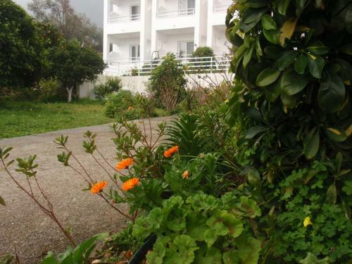 Apartamento Antouan Matina