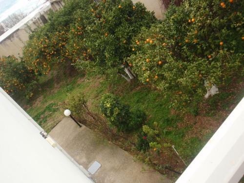 Apartamento Antouan Matina