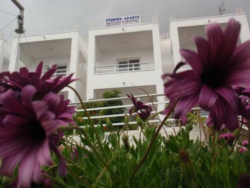 Apartamento Antouan Matina