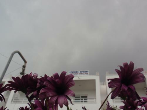 Apartamento Antouan Matina