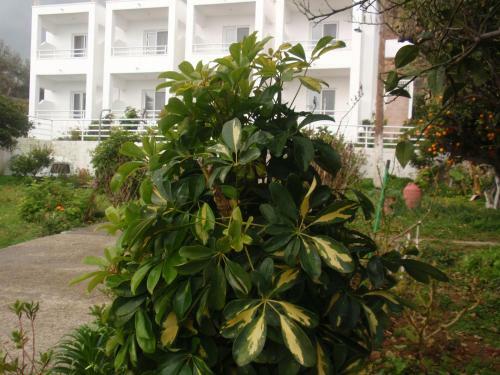 Apartamento Antouan Matina