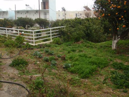 Apartamento Antouan Matina