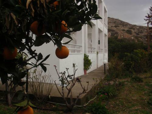 Apartamento Antouan Matina