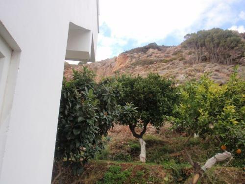 Apartamento Antouan Matina
