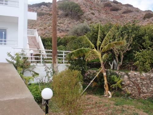 Apartamento Antouan Matina