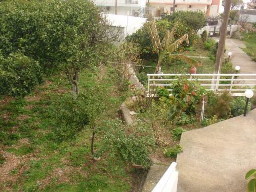Apartamento Antouan Matina