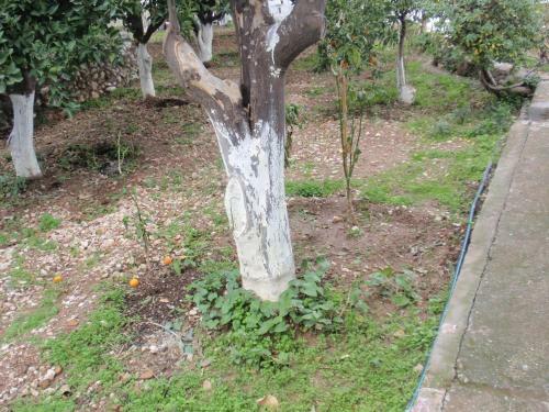 Apartamento Antouan Matina