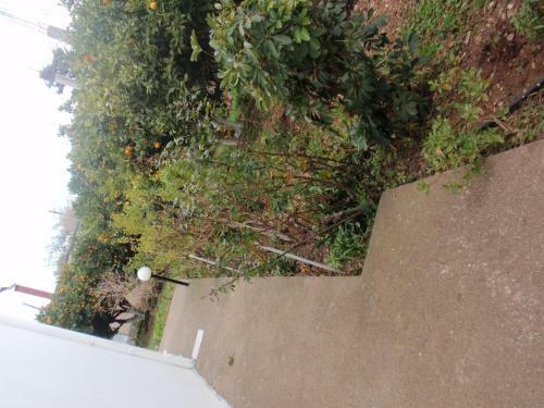 Apartamento Antouan Matina