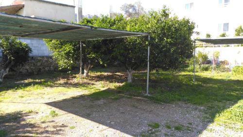 Apartamento Antouan Matina