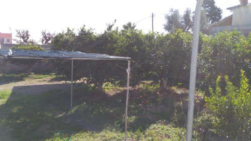 Apartamento Antouan Matina
