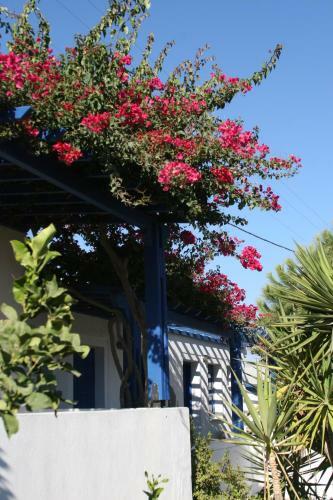 Hotel Mathios