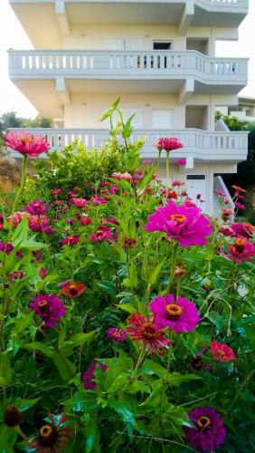 Apartamento Domus Creta