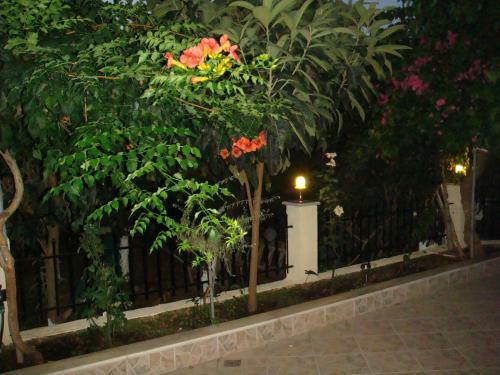 Captain Georgio Apartments