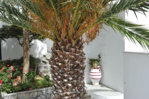 Rallis Apartments