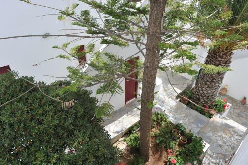 Rallis Apartments