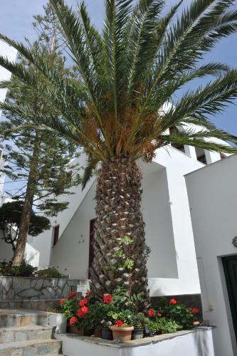 Rallis Apartments