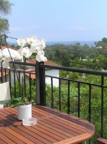 Apartamento Villa Thomas