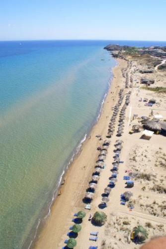 Hotel Arion Resort