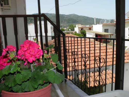 Hostal Eleni's House