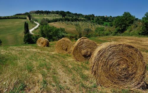 Vacanze Ideali